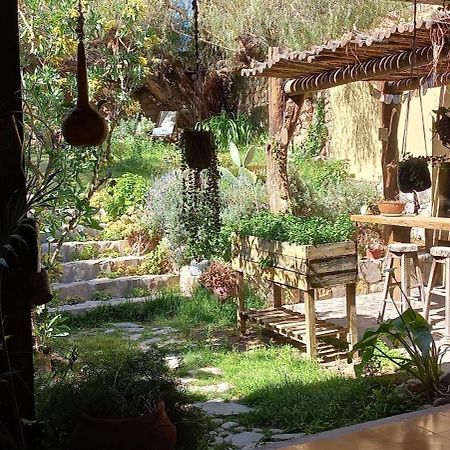 Apartamento En El Vivero تيلكارا المظهر الخارجي الصورة