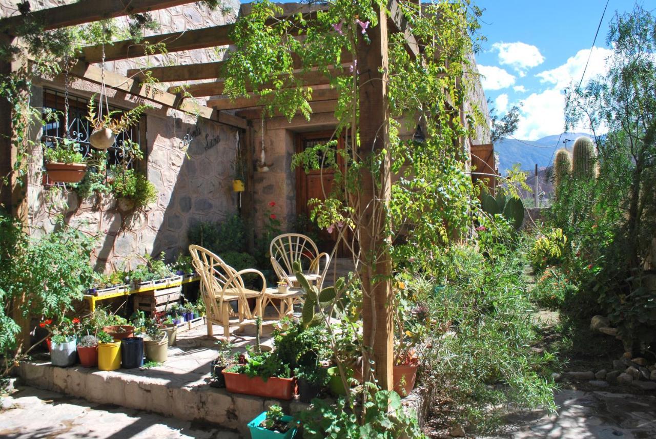 Apartamento En El Vivero تيلكارا المظهر الخارجي الصورة