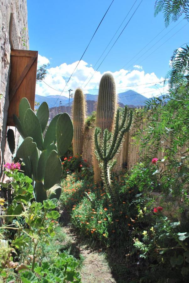 Apartamento En El Vivero تيلكارا المظهر الخارجي الصورة