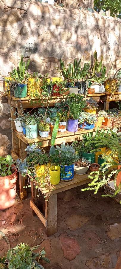 Apartamento En El Vivero تيلكارا المظهر الخارجي الصورة