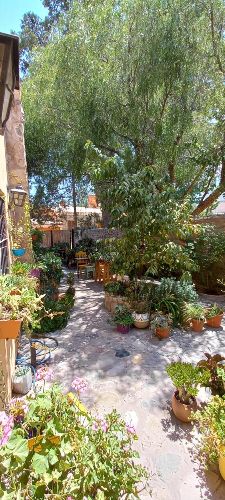 Apartamento En El Vivero تيلكارا المظهر الخارجي الصورة